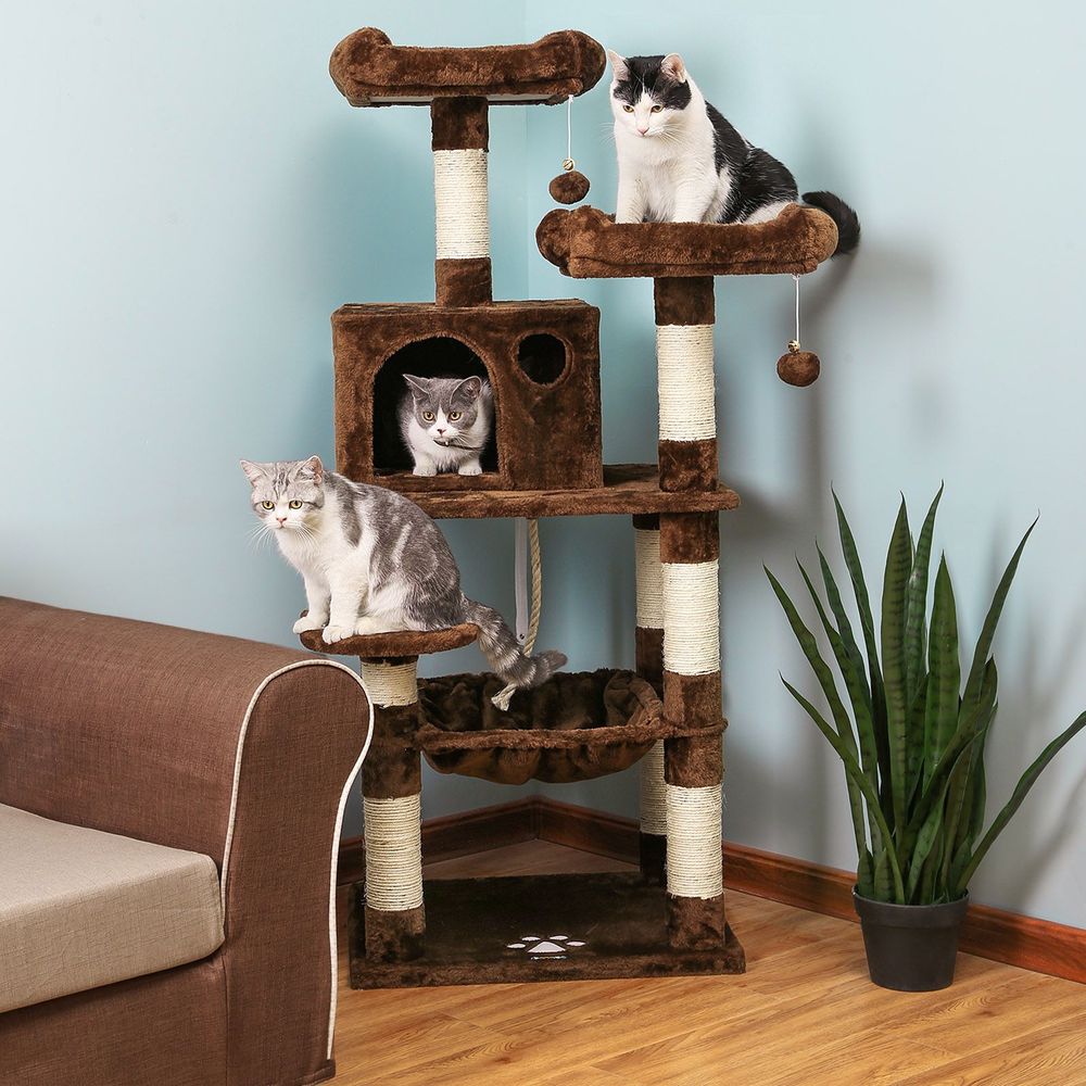 FEANDREA Cat Tree with Sisal-Covered Scratching Posts UPCT51W : :  Pet Supplies