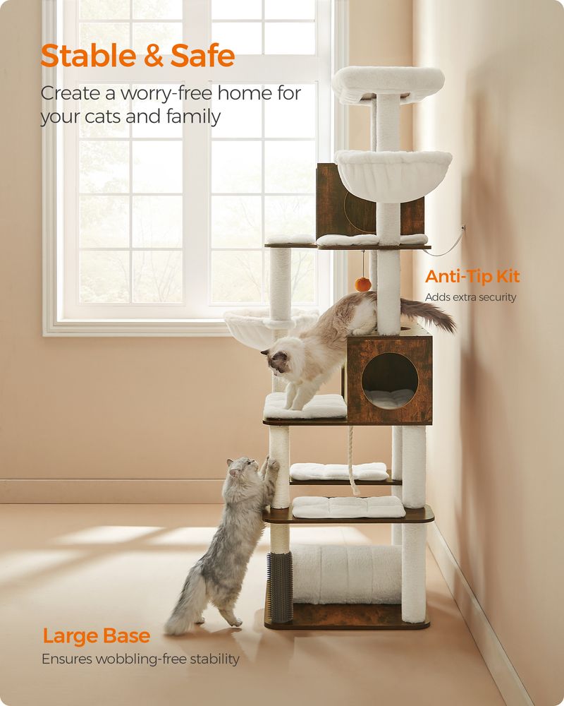 family cats　0118 Feandrea 77.5