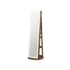LED Mirror Jewelry Cabinet