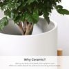 Ceramic Plant Pot White