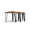 Industrial 3 Pieces Nesting Coffee Tables Set