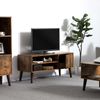 Retro Brown Wooden TV Stand with Cabinet