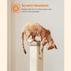 Greige Cat Scratching Post