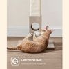Greige Cat Scratching Post