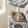 61 Inches Cat Tree with Bed