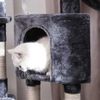 47.2 Inches Cat House