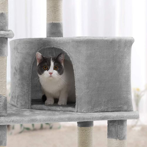 grey cat condo
