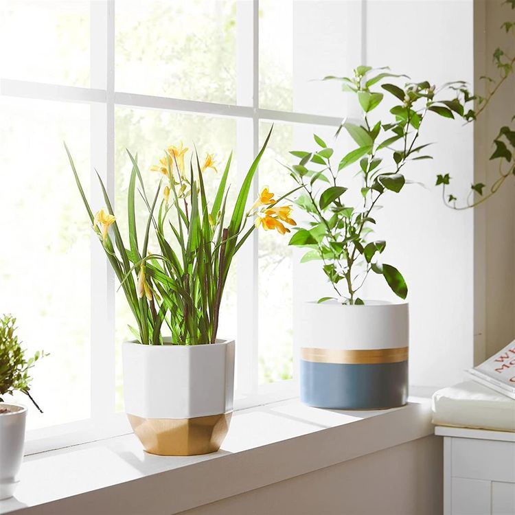 Indoor Ceramic Plant Pots SONGMICS