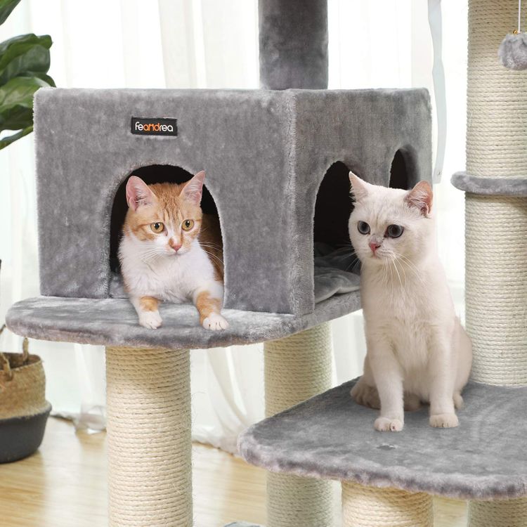 Cat Condo with Platform & Bed FEANDREA Cat Tree
