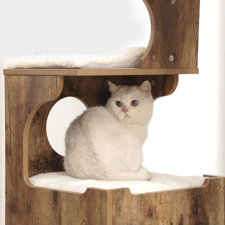 Cat Condo with Bed FEANDREA Cat Tree