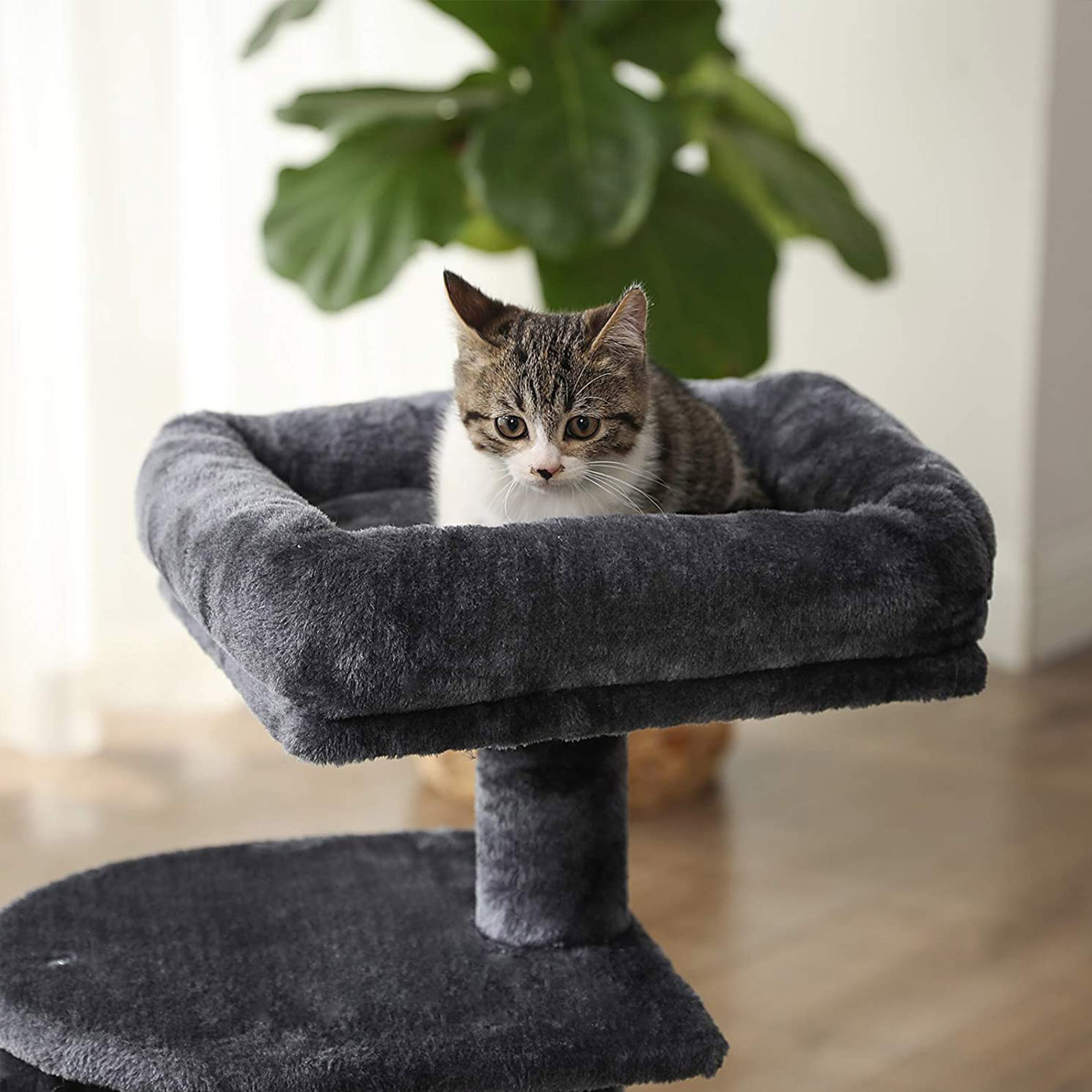 Small Cat Tree with Bed on Top FEANDREA Cat Tree