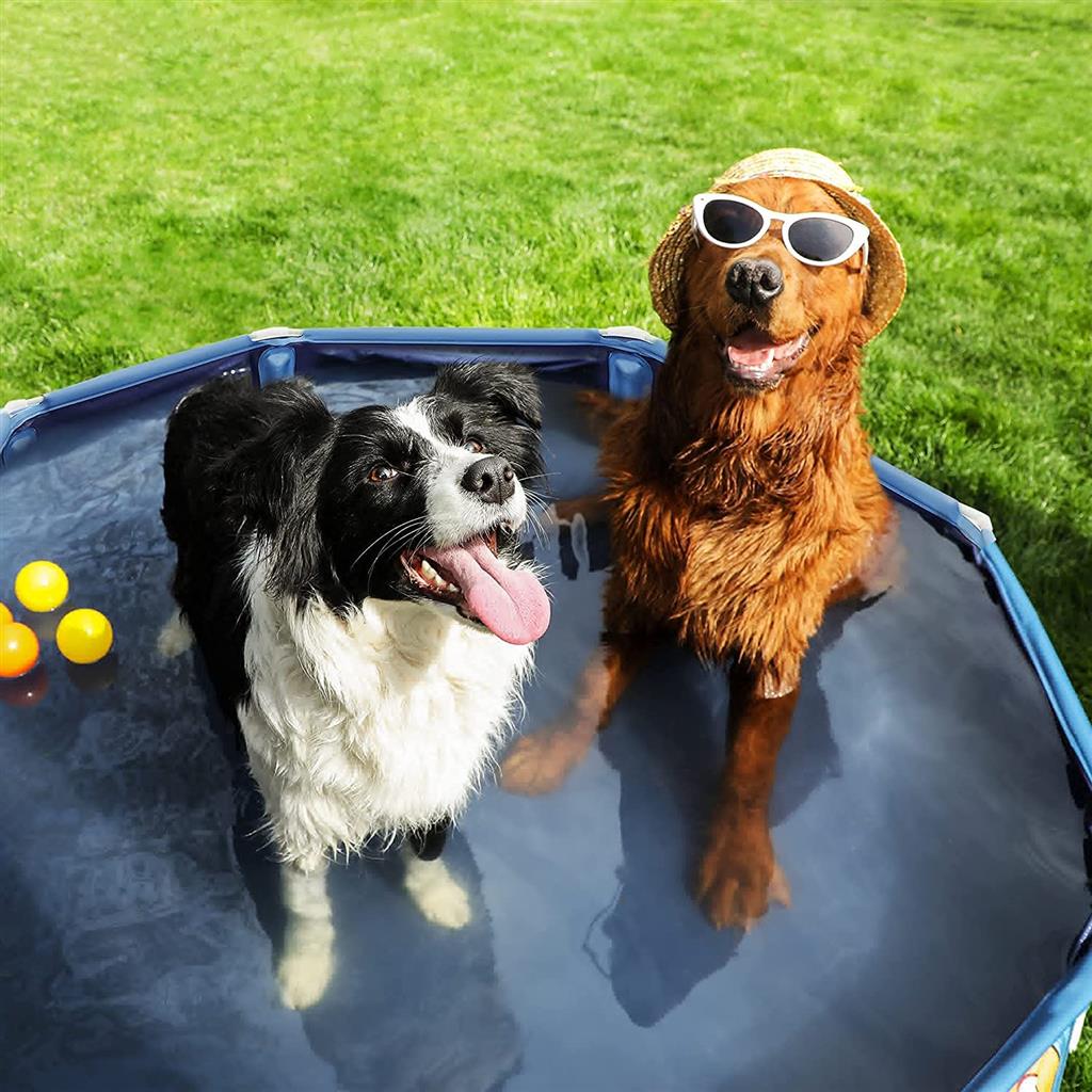 Collapsible Pet Bath Tub