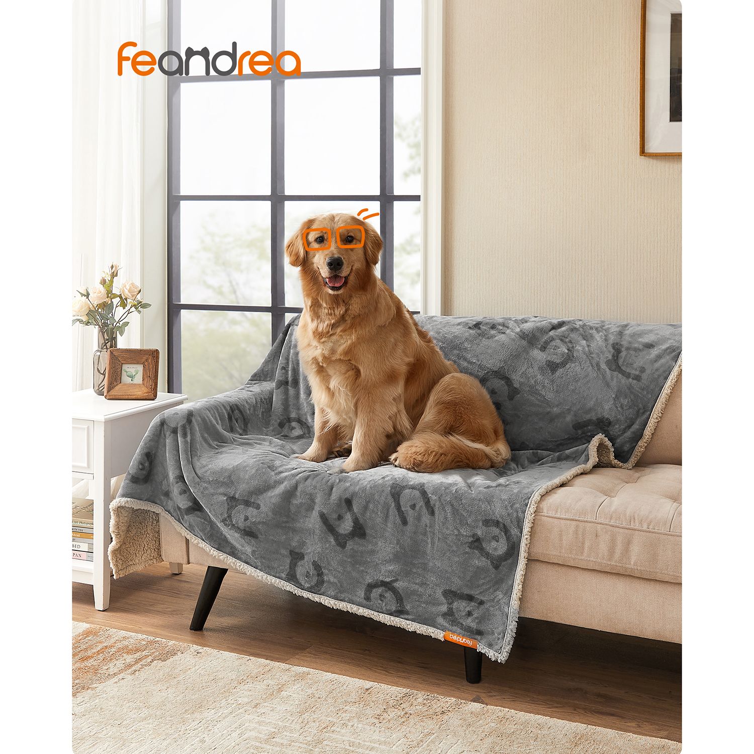 Acrylic Displays Acrylic Dog Bed Clear Acrylic Sheet 24x36 24 X 36