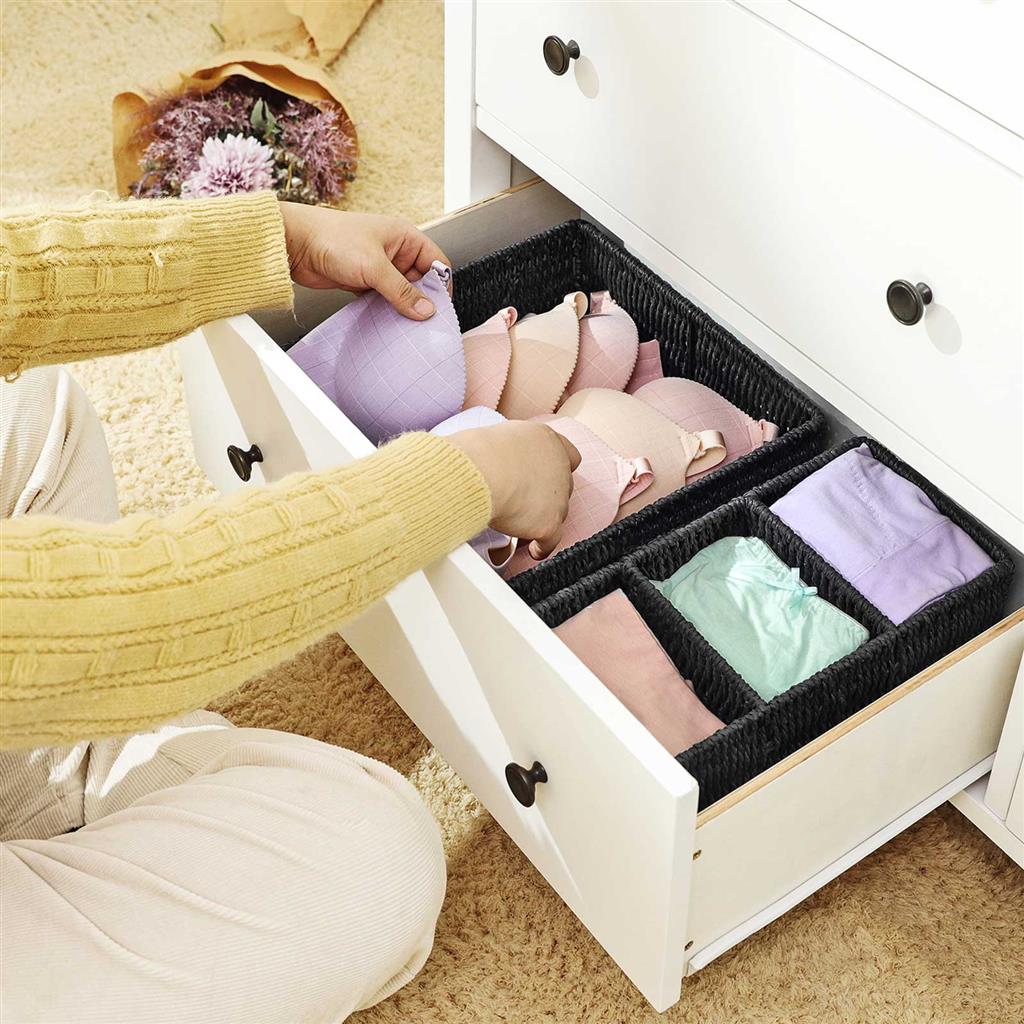 4 Underwear Storage Boxes