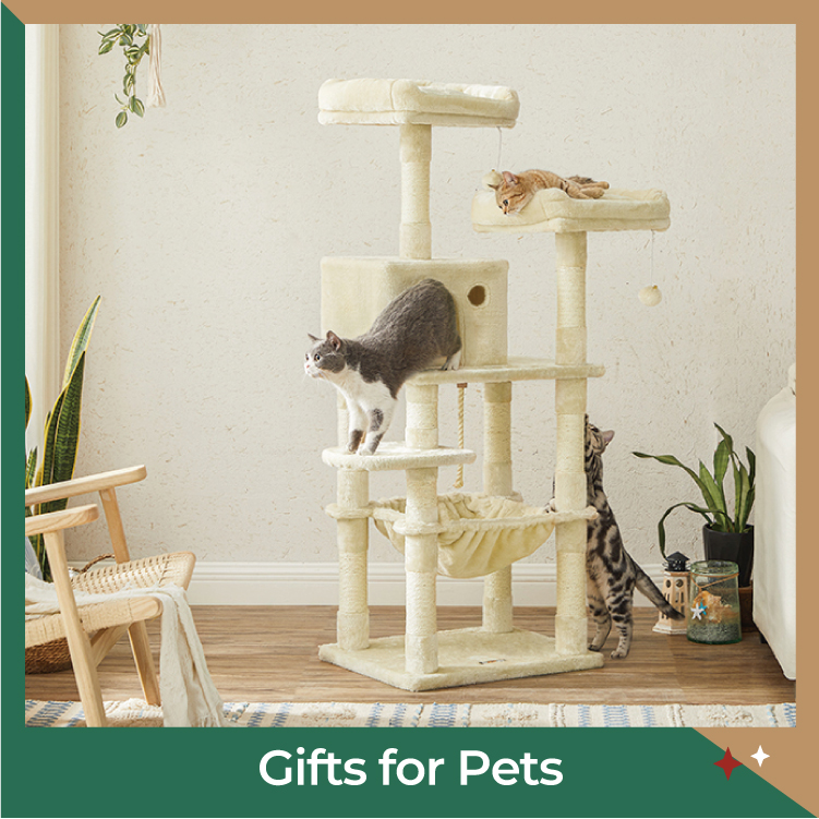 christmas2022-PC-Advert with 4 Pictures-GiftsforPets.jpg