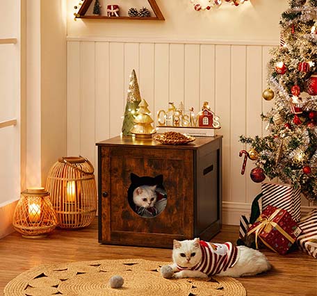 2021-xmas-pomos.html-PC-Advert with 3 Pictures-Pets-UPCL004X02-PC.jpg