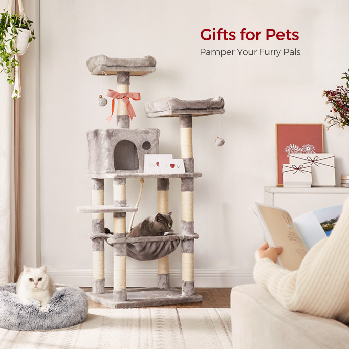 Gift for pets